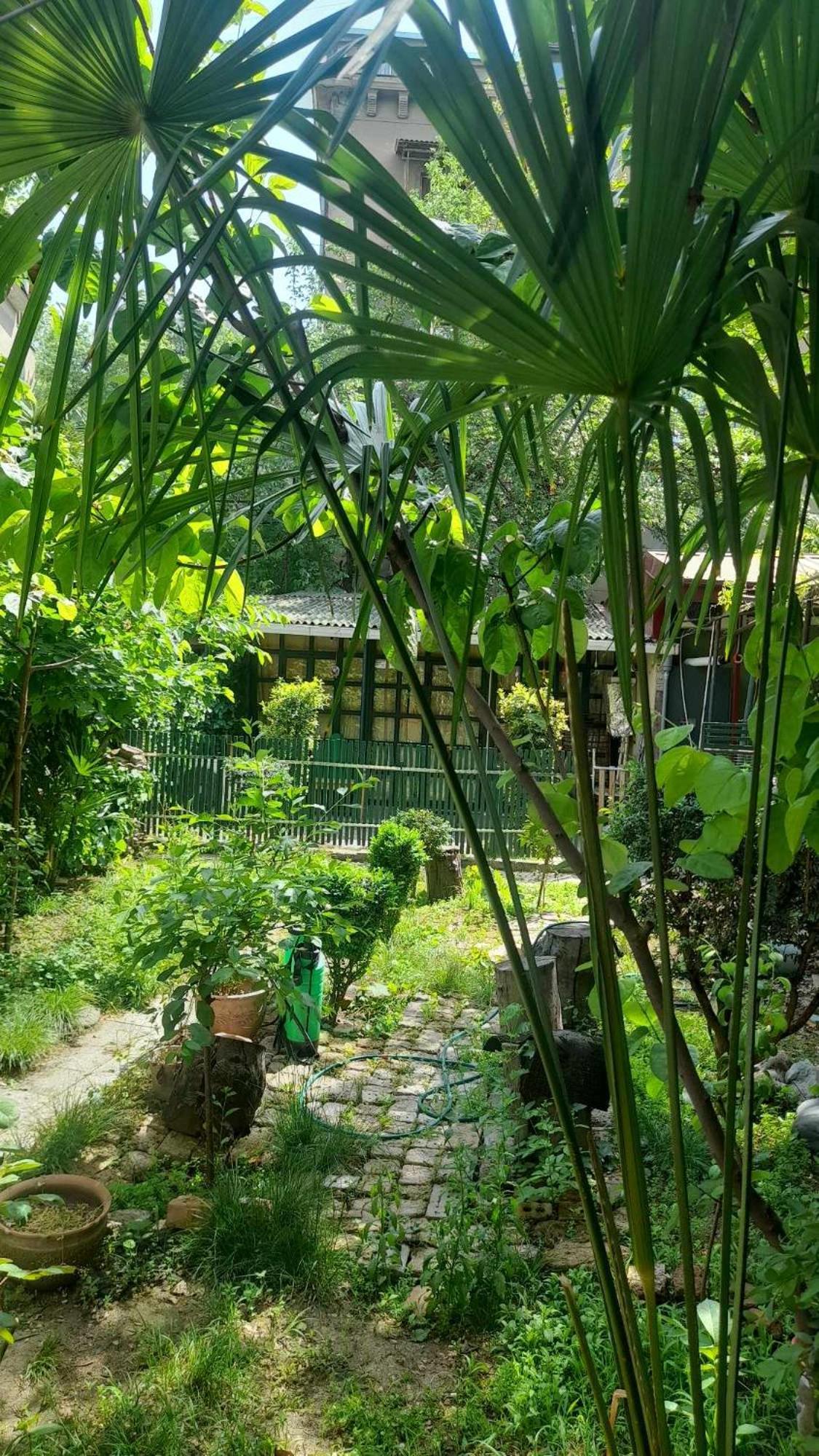 Gardens In Vake, Tbilisi Exterior foto